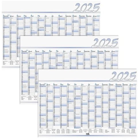Jahresplaner 2025 Extra 100 x 70cm blau - 3er Pack