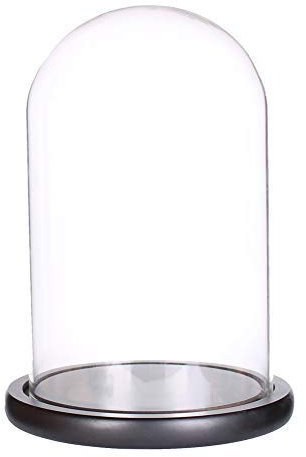 Campana in vetro con elegante base in legno nero, 15 cm x 30 cm