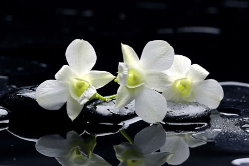 Cuadro zen decorativo de diseño orquídea blanca – Fabricado en Francia – Cuadro de cristal acrílico 90 x 60