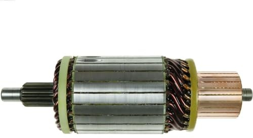 As-pl SA3032S - Armature, starter