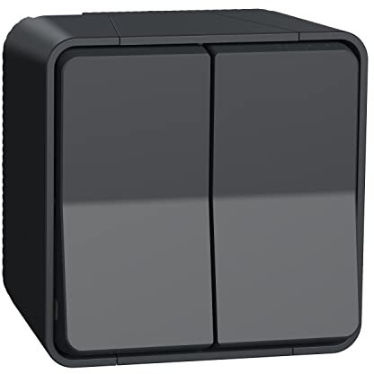 Schneider Electric MUR35022 Doble Conmutador Superficie, IP55, Gris