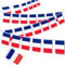 KOQAIIZ 10m Guirlande Drapeau Francais, 30 Drapeaux France Bannière Rectangulaire pour Football Championnat Jeux Coupe du Monde Décoration