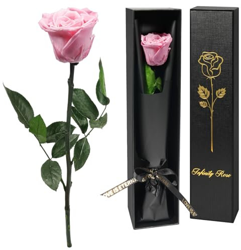 Yamonic Infinity Rose mit Stiel Geschenke für Frauen,Echte Rose Geburtstagsgeschenk für Frauen, Ewige Rose in Geschenkbox Geschenke für Mama,Konservierte Blume Frauen Geschenk Weihnachten, Rosa Rose