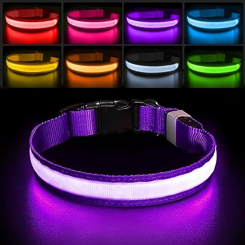 PCEoTllar Light Up Collar - Rechargeable Flashing LED Collar for Small, Medium & Large Dogs - Waterproof, 7 Colors Glowing, Purple (8 Mode)