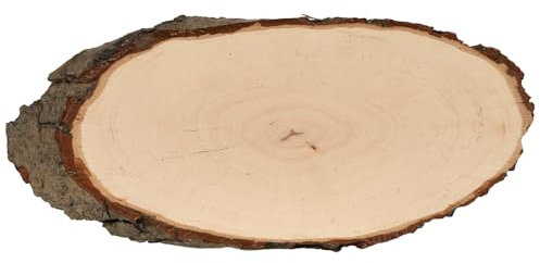 Bütic Holzscheibe Esche oval B-Ware - Rindenscheibe Baumscheibe geschliffen Holzbrett, Brettgröße:ca. 37cm lang
