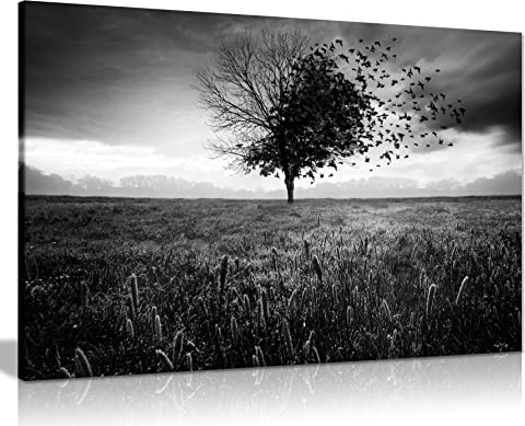 Panther Print Fine Art Prints Black & White Lonely Tree Black Birds Artistic Framed Canvas Print, Pictures for Home Walls, Bedroom, Living Room & Bathroom Decor 61x41cm (24x16in)