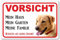 AdriLeo Schild - Vorsicht Blonder Labrador Retriever - Mein Haus - (20x30cm) / Achtung Hund Wachhund robust langlebig UV-beständig wetterfestes Warnschild (beige/gelb)