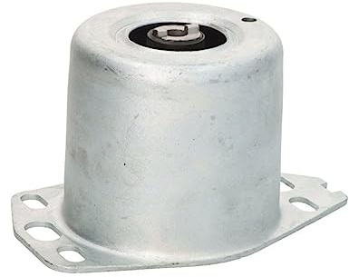 Sasic Bearing Motor 9002421