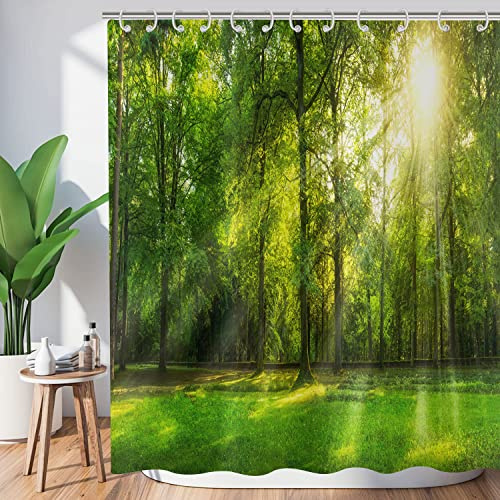 Hnmdmyi Duschvorhang Wald 180x200, Grüner Dschungel Hohe Bäume Sonnenschein Duschvorhänge Natur Landschaft 3D Szenerie Badewanne Vorhang Wasserdicht Polyester Stoff Waschbar Badevorhang mit Haken