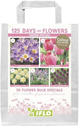 Blumenzwiebeln in Geschenkverpackung - Zwiebeln, Knollen verschiedener winterharter Pflanzen für Garten und Balkon - bunt, mehrjährig, für Topf und Beet (Garden Specials Rosa 50St.)