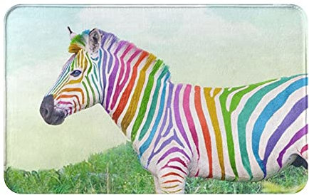 Fußmatte 40X60cm, Buntes Zebra Fußmatten Weicher Schmutzfangmatte Absorbierende Eingangsmatte Für Haustür Innen Eingang