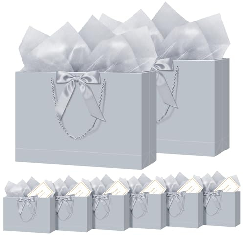 NADSSJL 6 Pcs Medium Gift Bags for Present - Birthday Gift Bag with Wrappers and Cards, Party Bags with Handles for Weddings, Birthdays, Parties, Valentine's Day and Christmas (6Pcs Silvery)