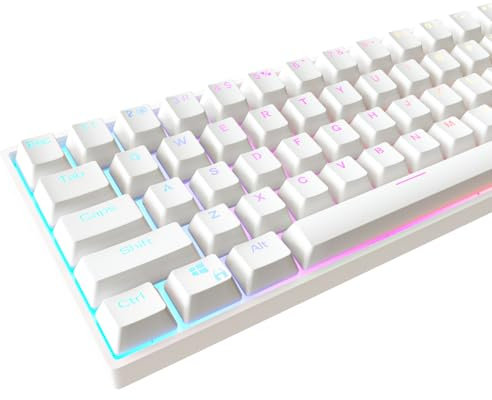 Kraken Keycaps Whiteout Edition RGB Hintergrundbeleuchtetes Tastenkappen-Set – weiße Doubleshot PBT-Tastenkappen für mechanische Tastaturen jeder Größe – für alle 60%, 65%, 75%, 85%, TKL &