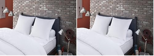 DODO | Oreiller Anti-acariens et Les Punaises de Lit 60x60 | Confort Médium | Oreiller Multi Protect | Douceur et Protection | Fabriqué en France | Lavable en Machine à 40°c (Lot de 2)