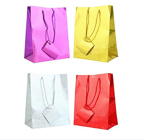 Pack of 12 'Holographic' Presentation Bags - Medium Bag size 22.5 x 17.5- gusset 10 cm