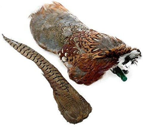Romneys Fasanendummy 500g | Mit echtem Federkleid, Federdummy | Ideal für die jagdliche Hundeausbildung | Wild-Dummy | Schwimmfähig