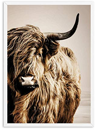 Poster leinwand malerei muralWall Kunst Leinwand Malerei Weizenpflanze Nordic Highland Cow Alpaca Poster Und Drucke Landschaft Wandbilder Für Wohnzimmer Dekor aKDFN