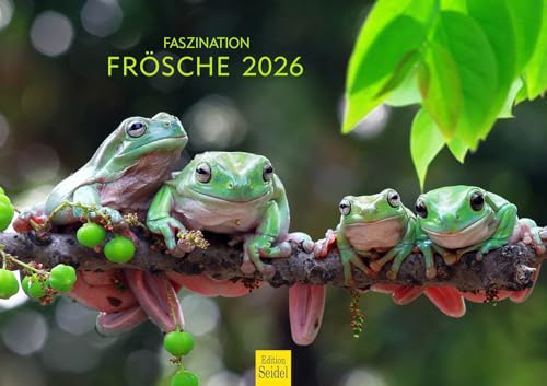 Edition Seidel Premium Kalender Faszination Frösche 2026 Format DIN A3 Wandkalender Tierkalender Tiere Frosch Kröte Amphibien