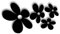 Waschstrassenfest Autoaufkleber Blumen - Mixed Flower 3 schwarz - oder Wandtattoo selbstklebende Aufkleber fürs Auto, Blumensticker Wandsticker Out- & Indoor, Wandbild & Fensterbild wählen Sie aus 32 Farben!