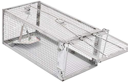 Kensizer Small Animal Humane Live Cage Rat Mouse Mice Chipmunk Rodent Voles Hamsters Trap That Work for Indoor and Outdoor, Catch and Release…