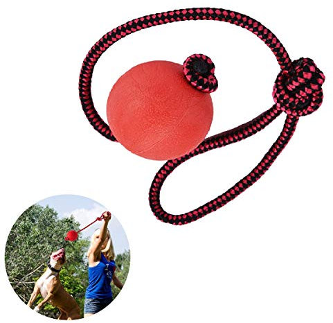 Sherineo Dog Rope Ball, Ball on a Rope Dog Toy Natural Elastic Solid Rubber Dogs Balls Chew Toys for Small Dogs- Red diam 5cm Rope length 42cm