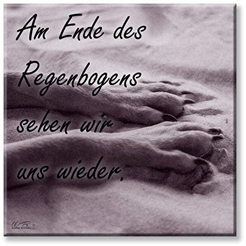 WB wohn trends Deko-Fliese, Am Ende des Regenbogens Hund Pfote, Foto-Fliese Wand-Bild Deko-Schild 15x15cm