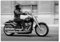 WTD H5148M_TV5BG Papier peint non tissé Motif moto Harley Davidson 312 x 219 cm