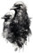 Samunshi® Wandtattoo Hugin und Munin Schwarz Wanddekoration Wandsticker nordische Legenden für Kinderzimmer Wohnzimmer Wikinger Wanddeko Odin19x30cm