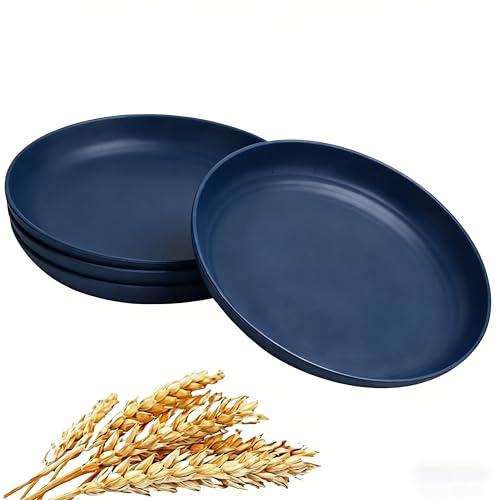 GZTFPQ Reusable Plastic Dinner Plates 4 Pack, 25cm Deep Blue | Food grade bpa free, lightweight drop resistant design, microwave and dishwasher safe, ideal for kitchen camping daily dining