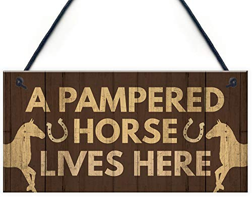 Red Ocean Horse Gifts For Women Horse Signs Funny Stable Plaque Horse Sign For Gate Horse Lover Gift