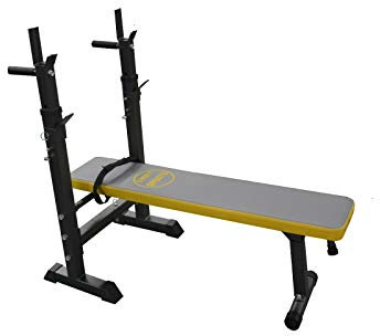 D pro T Chest Press Bench Weight Training Bench Multi Gym Fitness Preacher butterfly Exercise Incline Back (Chest Press Bench)