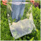 LIJINBO Transparente Abdeckplane mit Ösen, 0,3 mm PVC-Glas, wasserdicht, strapazierfähig, regenfest, für Outdoor-Pflanzen, 40 Größen (Farbe: transparent, Größe: 2,4 x 6 m)