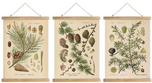 XIAOAIKA 3 Stück Vintage-Poster-Aufhängerrahmen, Cottagecore Raumdekoration, ästhetisch, Retro-Stil, Wanddekoration, Kunstmalerei, Muster sind auf Leinen gedruckt, ohne zu verblassen (30 x 40 cm)