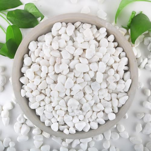 Mulctun 6Lb White Rocks,0.5-1 Natural White Stones,Decorative White Rocks for Plants Small White Pebbles for Vases Aquarium Fish Tank Gravel Garden Rocks White for Potted Plants,Home Decor