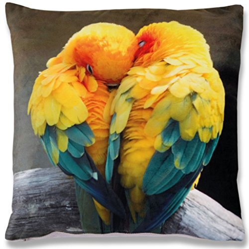 Bestlivings Kissenbezug Fotodruck Motiv in 40x40 cm, Flauschig weiche Kissenhülle, Bezug mit Reißverschluss in vielen Motiven erhältlich (Design: Sittiche)