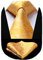 HISDERN hommes cravate floral mouchoir fete de mariage classique cravate & poche set (Or)