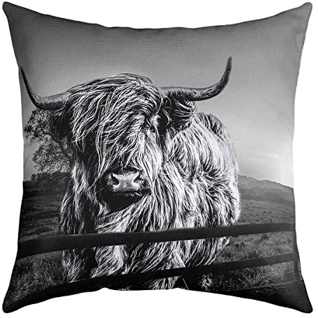 Hochland-Kuh Grauer Stier Rinder Kissenbezug 40x40cm Set of 1 Lustige Bauernhof Wildtier Tier Für Kinder Teens Erwachsene Western Cowboy Weich Dekor Quadratisch