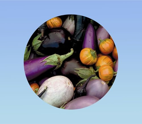 50 graines aubergine mixtes - eggplant - mélange - listada de grandaia - black beauty - turc- oeuf blanc -