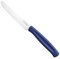 Sicignano | Coltello da Tavola in Acciaio Inox 10,7cm con Manico Colorato in PP, Lavabile in Lavastoviglie, Taglio Preciso per Uso Alimentare (Blue navy, 1 pezzo)