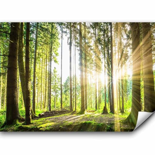 murando Fototapete selbstklebend Wald 3D 441x315cm Foto Tapete Tapetenfolie Möbelfolie Wandverkleidung Wandtapete Motivtapeten Bildtapete Wohnzimmer 3d Effekt Modern Landschaft Natur Sonne Grün Bäume