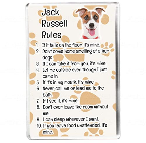 Jack Russell Rules - Funny Pet Owner Quote - Dog Mum/Dad - Fridge Magnet - Novelty Gift