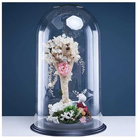 WIGING Clear Glass Dome, Glass Cloche To Cover Plants And Decorations, PC Transparent Round Dustproof Ornament Cover (Color : Clear, Size : 27x27x40cm)