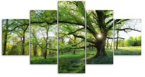 MHTGD Leinwand Bilder 5 Stück Grüner Wald Bäume Natur Regenwald Sonnenschein Strahl Wandbilder Set Wanddekoration Leinwandbilder Dekoartikel 200X100(Kein Rahmen)