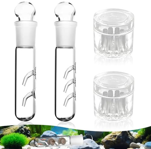 4 Stück Planarienfalle Schneckenfalle Aquarium,2 Loch 3 Loch Klarglas Glas Planaria Trap,Planarienfalle Effizient,für Fisch Tank Aquarium,Schnecken, Blutegeln im Aquarium