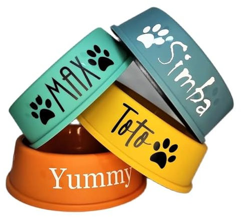 Hainadian Gamelle personnalisée pour chien avec nom, petite taille (21 x 6,5 cm)