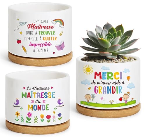 BOFUNX 3pcs Pots de Plante en Céramique avec Trous de Drainage Mini Pot de Fleurs Intérieur avec Plateau pour Succulentes Decoration de Table Maison Cadeau pour Maitresse