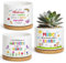 BOFUNX 3pcs Pots de Plante en Céramique avec Trous de Drainage Mini Pot de Fleurs Intérieur avec Plateau pour Succulentes Decoration de Table Maison Cadeau pour Maitresse
