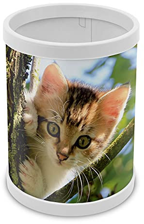 itenga Stifteköcher Katze - Stiftehalter Kinder Schüler Mädchen Schreibtisch Organizer Stiftebox - Höhe 10 cm Durchmesser 8 cm