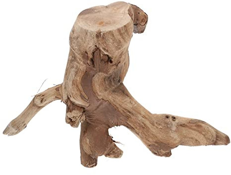 NUOBESTY Bonsai Base Tree Stump Mini Tree Stump Stool Plant Stand Desktop Decor Flowerpot Holder Stand Wood Table Centerpiece Adornment