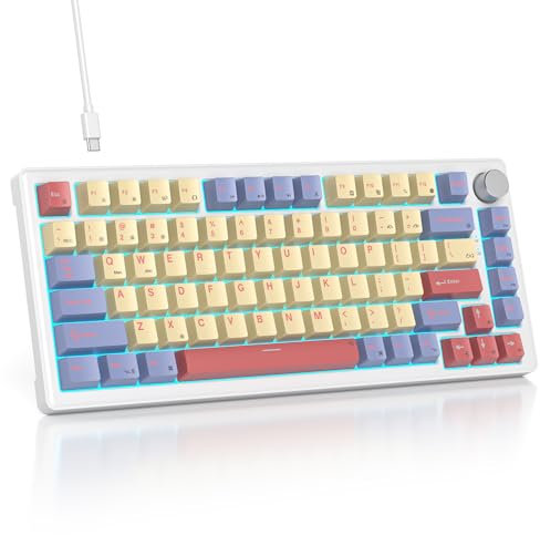 SOLIDEE Mechanical keyboard wired 75 percent,Hot Swappable Keyboard with Gasket Structure,RGB Backlit TKL Keyboard,82 Keys NKRO Compact Mechanical Keyboard with Volume Knob(82 Marshmallow)